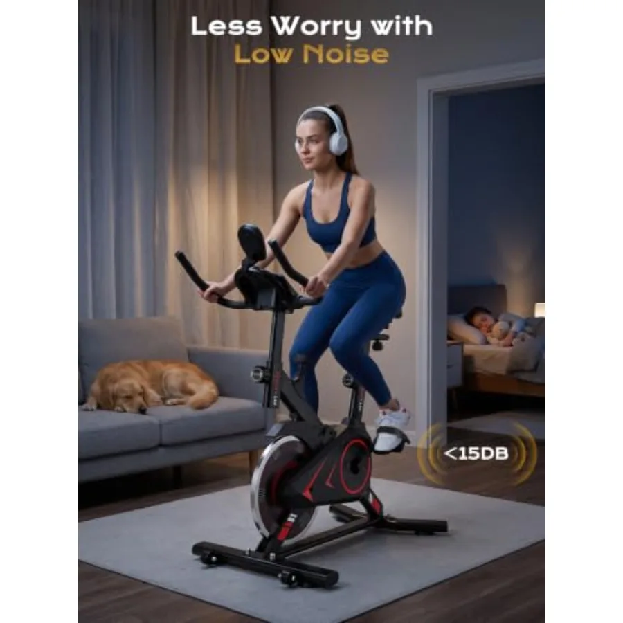 350 lb taşıma kapasiteli, çeli - Exercise Bike Magnetic Resistance incelemesi ve fiyatı